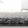Jiang Indoor Rug