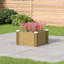 Raised Garden Bed-850066693
