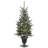 4 ft. Snowy Morgan Spruce Entrance Tree with Twinkly LED Lights