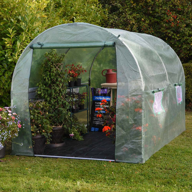 Polytunnel,  6.5ft W x 9.5ft D