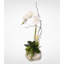 Real Touch Phalaenopsis Silk Orchid with Succulents Floral Arrangement in Pot