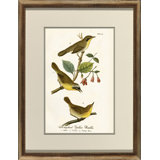 Maryland Yellow Warbler Print