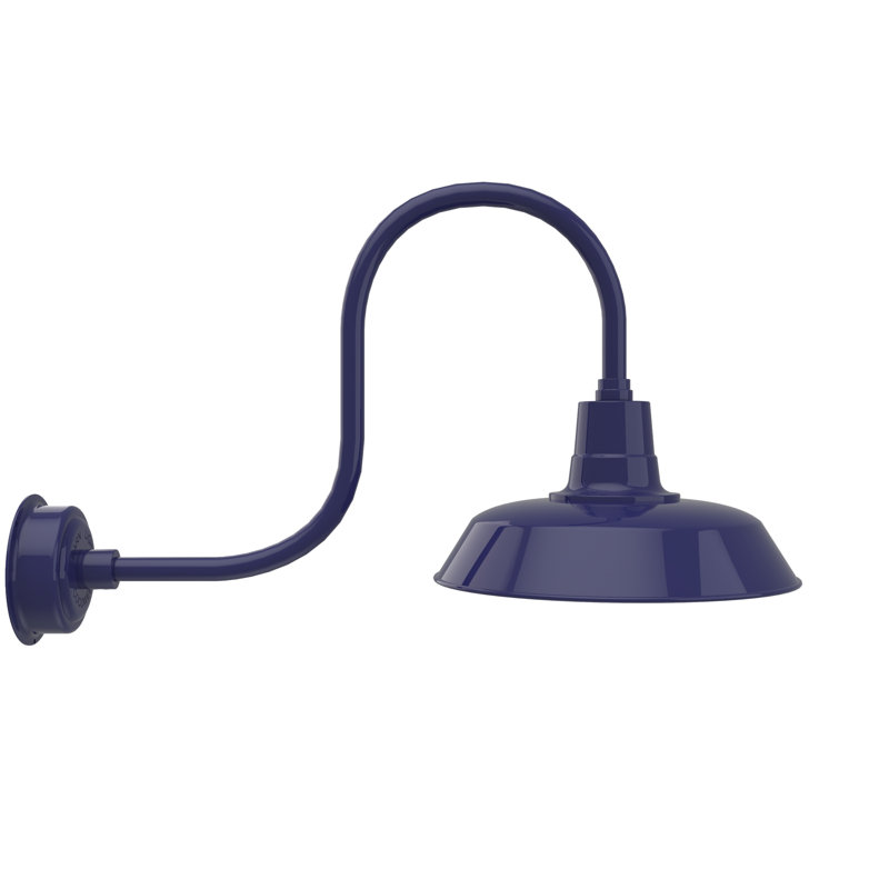 Luminaire de grange d'extérieur à DEL Haleigh, H 9 po x l 16 po x P 17 po, Bleu de cobalt