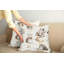 Ensemble de 2 coussins décoratifs pour chat Ambesonne 20 po x 20 po ivoire brun gris-99021242-99021241