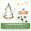 Tablette flottante en bois 2 pièces Jowan