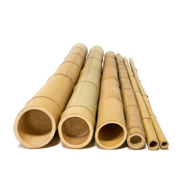 Natural Bamboo Poles for Fences Decorative Garden Stakes
