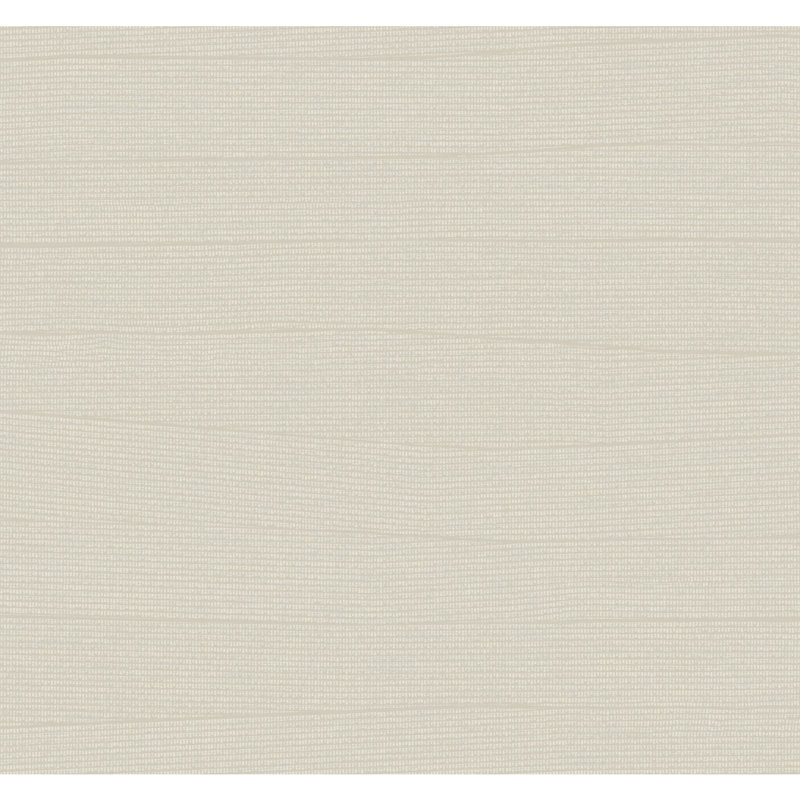 Rouleau de papier peint L 27 pi x l 27 po Almus, Taupe