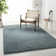 Jiang Aqua Area Rug