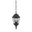 Lanterne suspendue d’extérieur 2 lumières Syliva-26243692