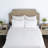Lana 100% Cotton Sham in-115623032