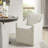 Charlotte Shonna Dining Arm Chair-721727975