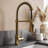 Brant 19 H 1-handle Pull-Down 2-Function Sprayer Kitchen Faucet-100790487
