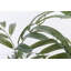 63" Artificial Faux Eucalyptus Tree in a Resin Planter | 63" Fake Eucalyptus Tree