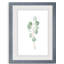 Douce branche d'eucalyptus III - Peinture encadrée sur papier-1908356514-1908356505