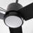 42" IP65 Waterproof Outdoor Propeller Ceiling Fan with Dimmable LED Lights and Remote Control, Wet Rated Plug-in Ceiling Fan with 3 Color LED Light