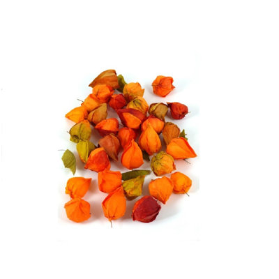Lanternes chinoises