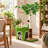 Small Green Cat Tree with Scratching Post, Plush Bed and Interactive Toys
