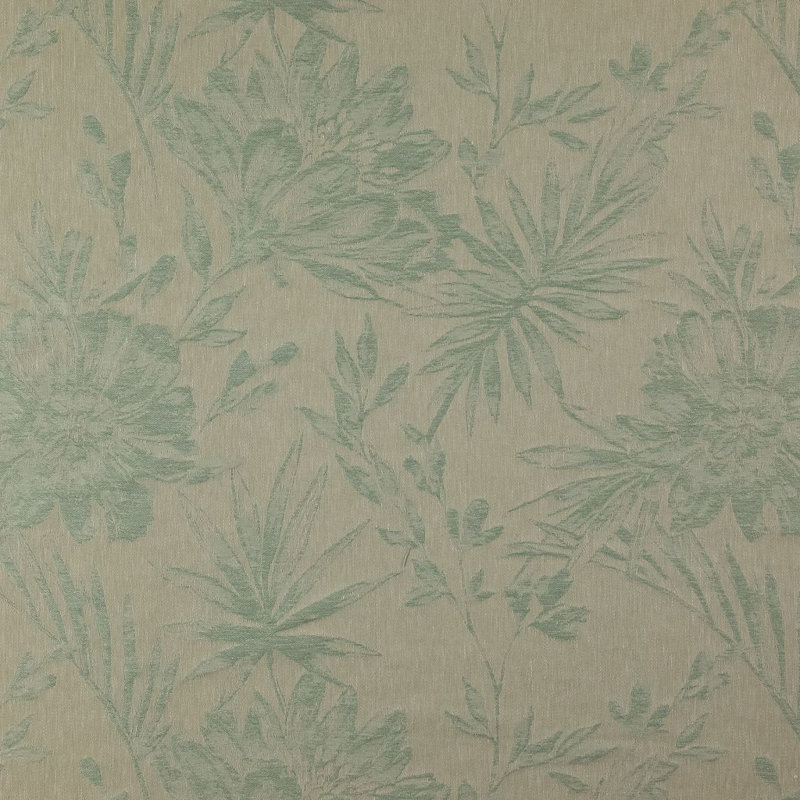 Tissu Palmara, Brume