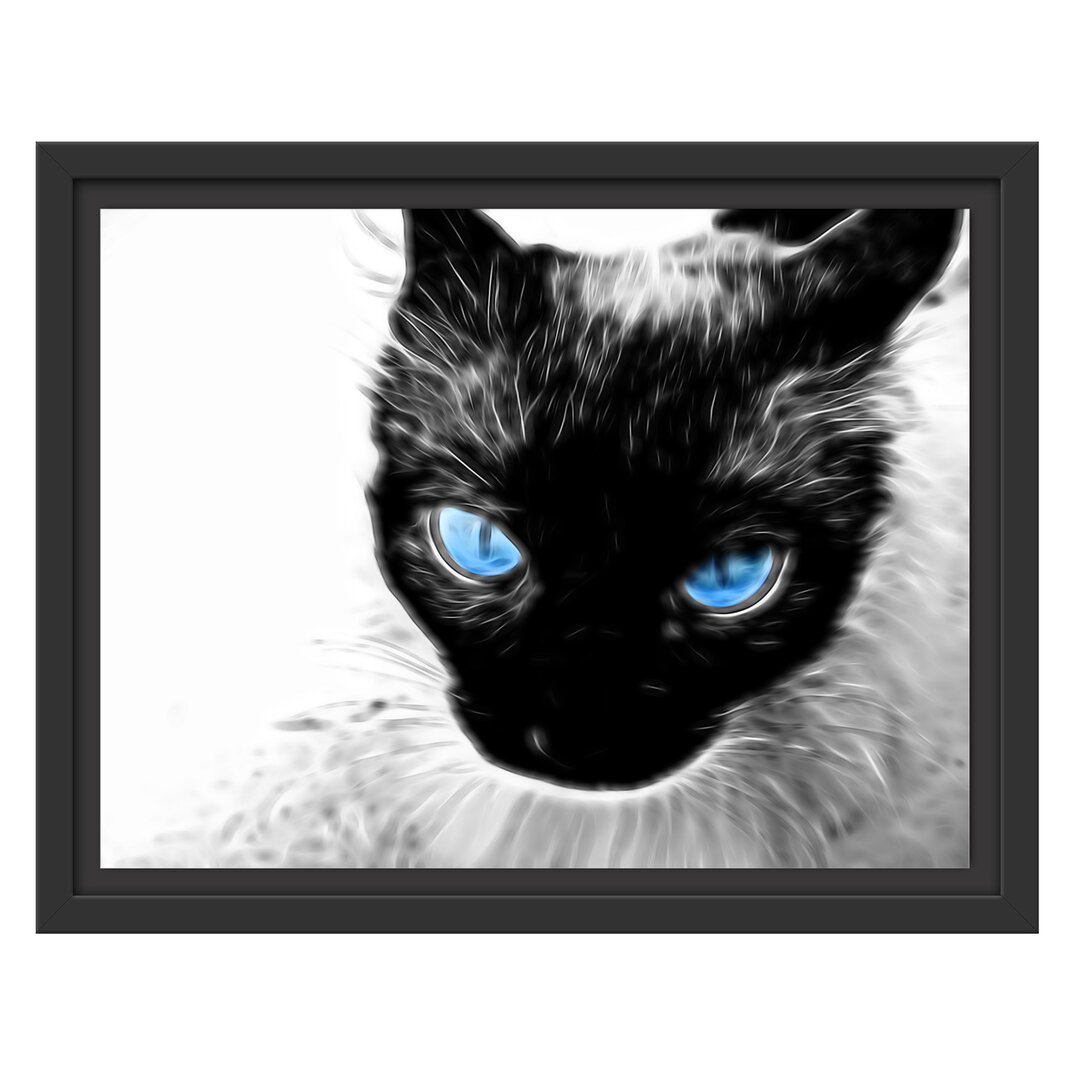 Gerahmtes Wandbild Blaue Augen schwarze Katze new Art