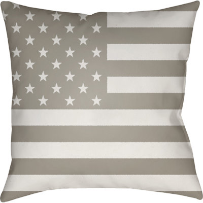  Indoor/Outdoor Throw Pillow