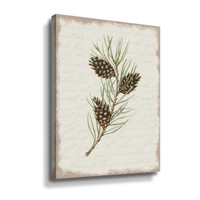 Pine Cone Botanical I Gallery