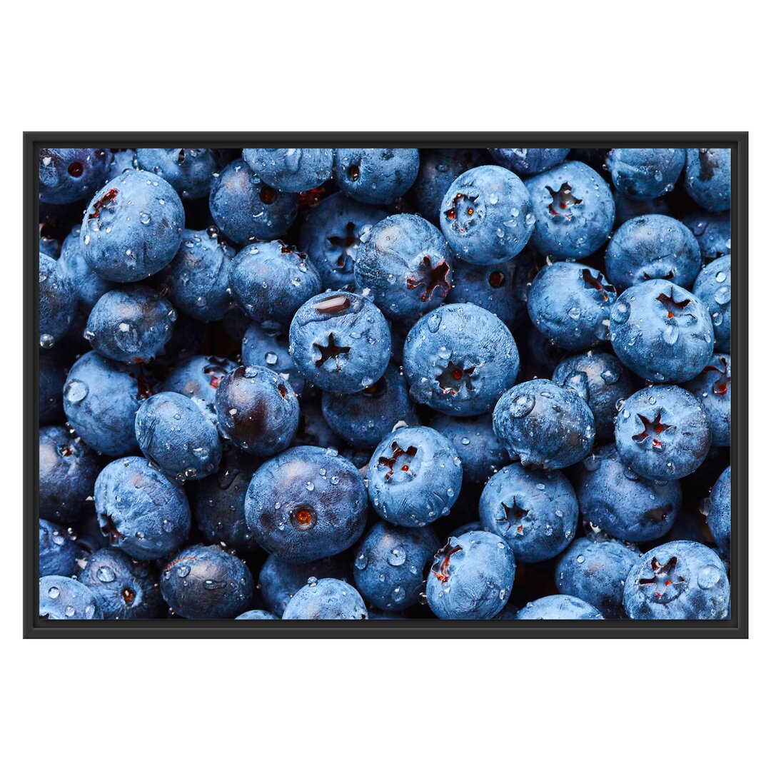 Gerahmtes Wandbild Blaubeeren mit Wassertropfen