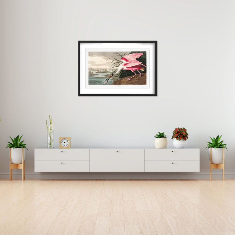 Nature Inspired Roseate Spoonbill From Birds Of America (1827), 24" H x 30" W