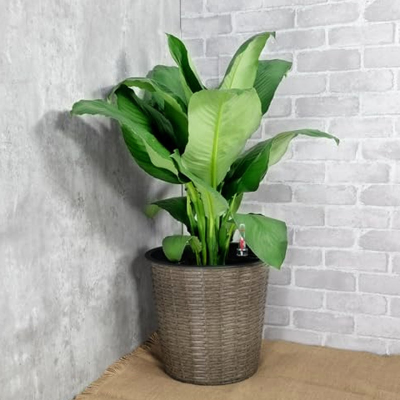 Pot à fleurs auto-arrosant de 10,2 po - gris, pour les jardins enchanteurs gris intérieur et extérieur, Grey