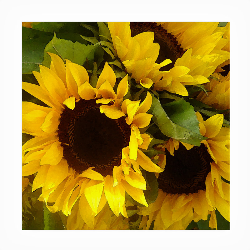 Décoration murale Amy Vangsgard «Tournesols», L 14 po x H 14 po