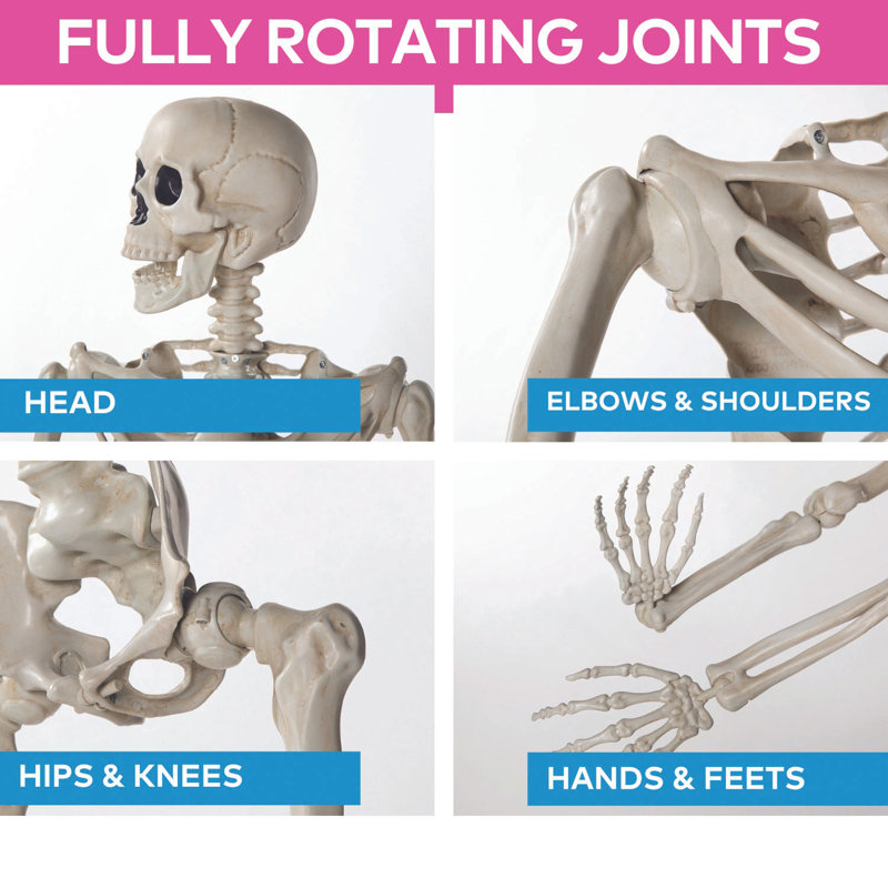 Life-Size Posable Skeleton Halloween Decoration in Plastic
