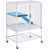 White is out of stock selected