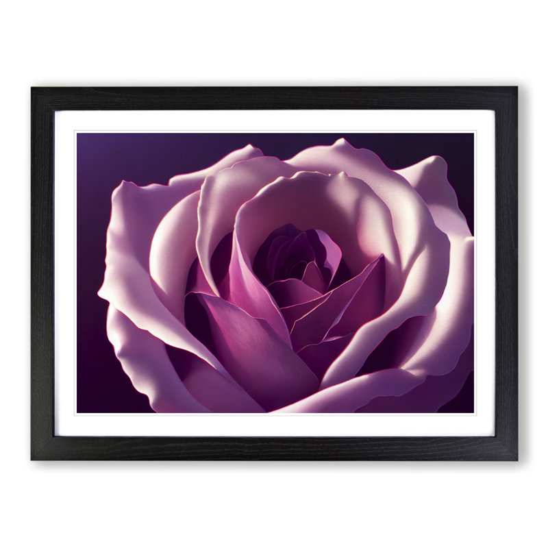 Dazzling Rose Flower - Framed Print, Black Framed, 46cm H x 64cm W x 2cm D