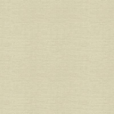 Guaranteed in Stock Viscose and Linen Fabric