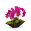 Orchid Floral Arrangement in Metal Planter-1631569103