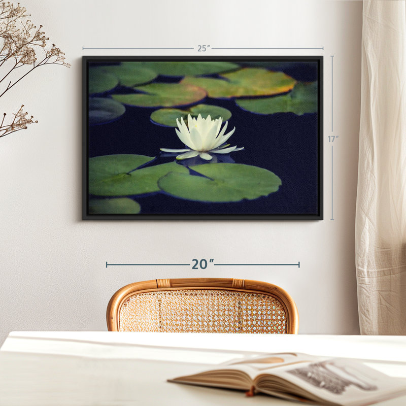 " Lotus And Leaves ", 17" H x 25" W