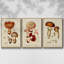 Mushroom Variétés I - ensemble de 3 reproductions sur toile-97708643-97708644
