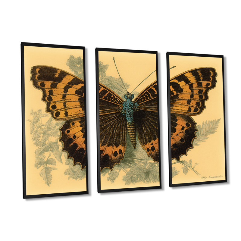 Illustration rétro de papillons II - animaux, ensemble d'art mural sur toile_80513, H 28 po x l 36 po x P 1 po