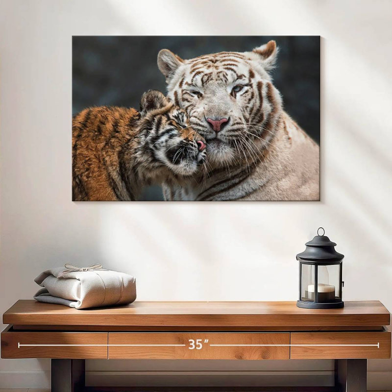 Tigre blanc et chaton Brampt, H 16 po x l 24 po