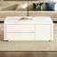 Table basse moderne avec rangement simple-103407358-103407356