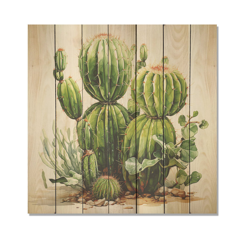 Impression de cactus vert désert II - fruits sur bois, H 15 po x l 15 po