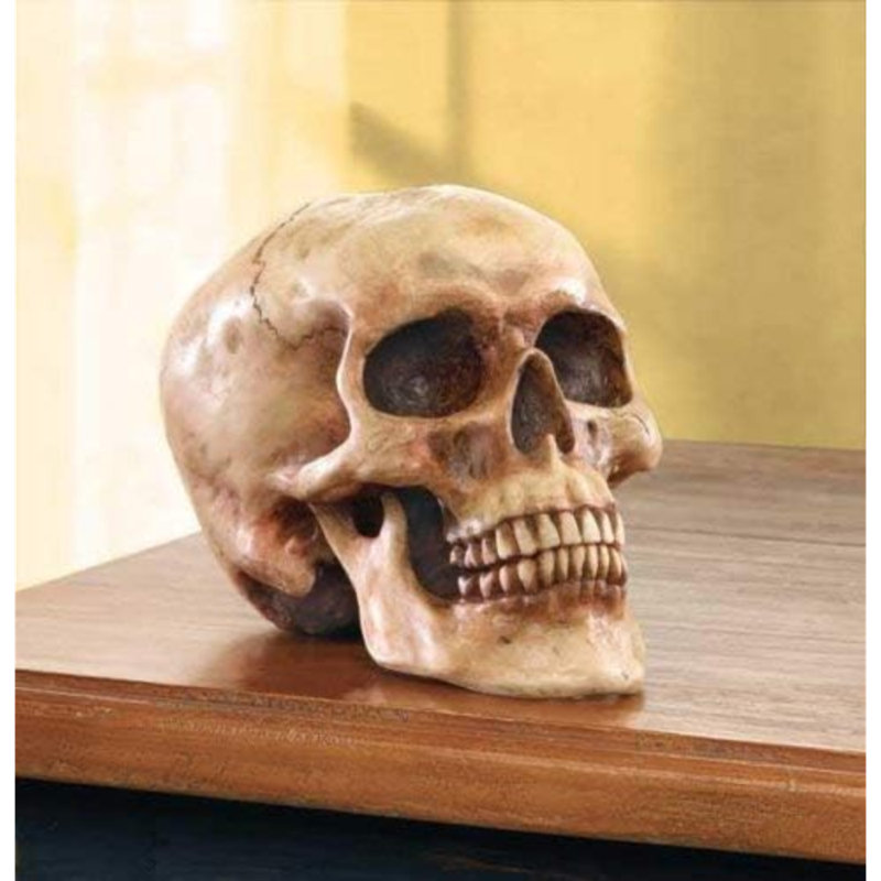 Statue de crâne humain en réplique très réaliste souriant 6,5 po x 4,25 po x 4,6 po