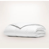 Down Alternative Duvet Insert