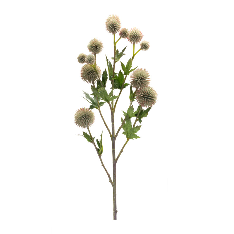 Allium Arrangement, White