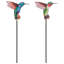 Ensemble de 2 plantes à colibri