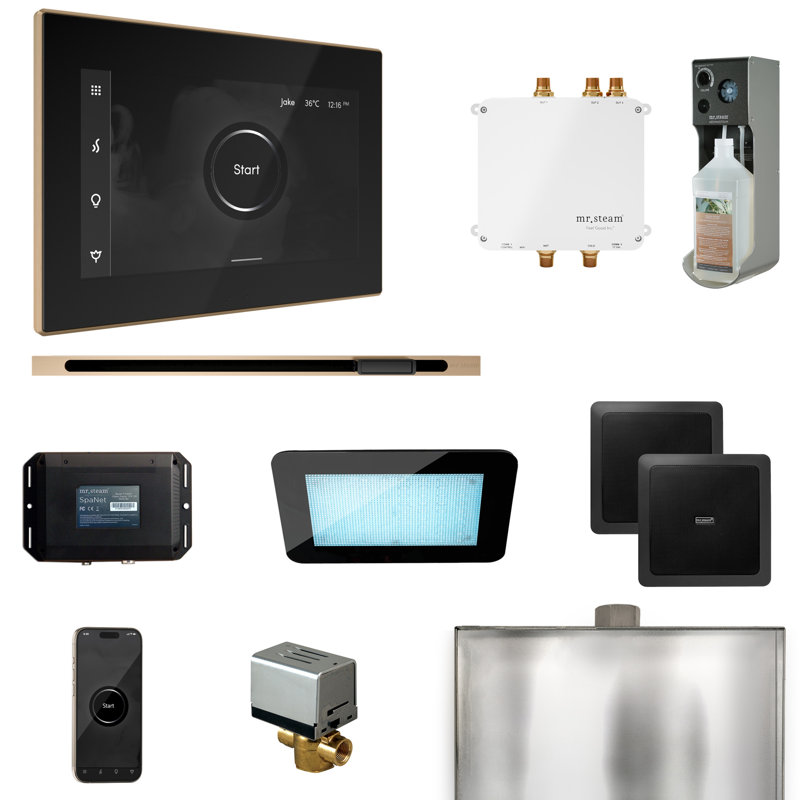 Bliss Steam Shower Control Package with iSteamX Control and Linear Steamhead, Black/Brushed Bronze