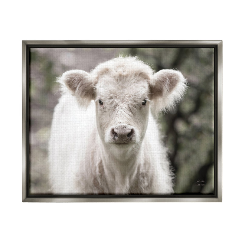 «Stupell Industries White Cow Calf», art mural sur toile par Nathan Larson, H 11 po x l 14 po x P 1,5 po