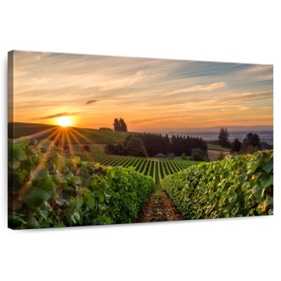 Alvord Willamette Vineyard