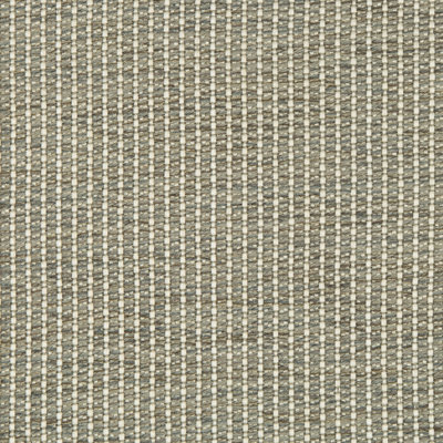 Performance Crypton Home Fabric