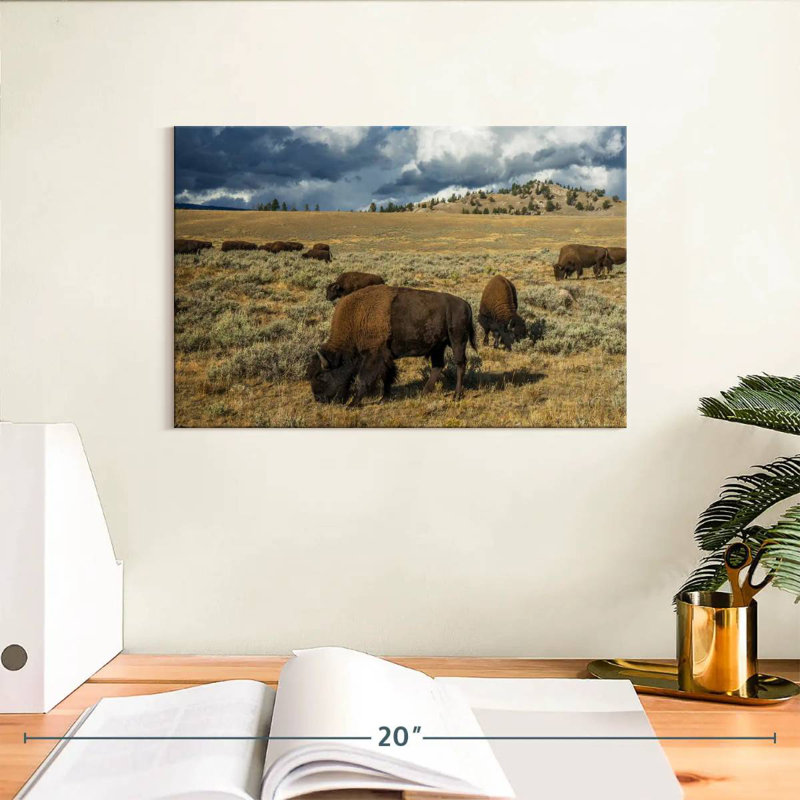Brampt Yellowstone Bison, 8" H x 12" W