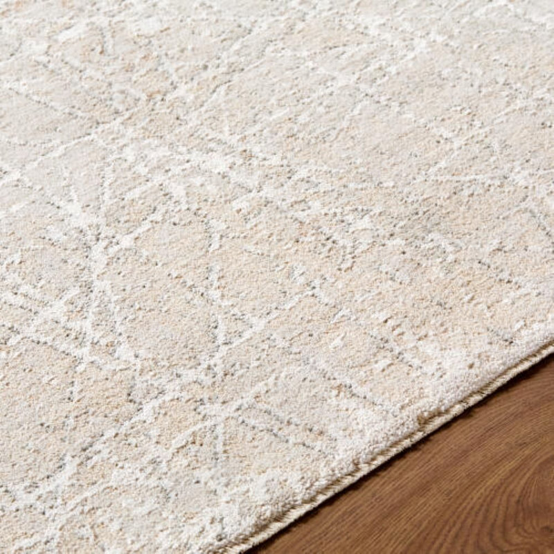 Nathan Machine Woven Indoor Area Rug, Rectangle 6'7" x 9'6"